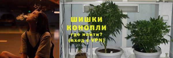 гидра Алексин