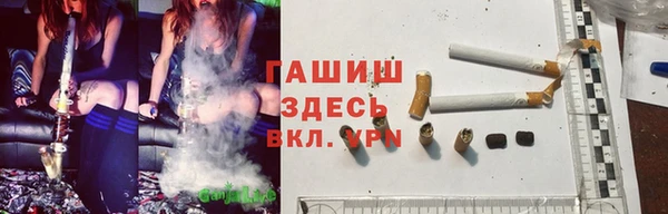гидра Алексин