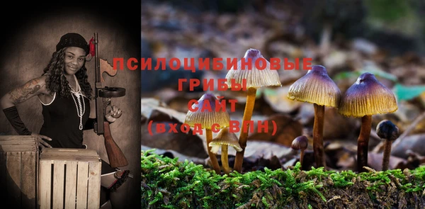 ГАЛЛЮЦИНОГЕННЫЕ ГРИБЫ Алзамай