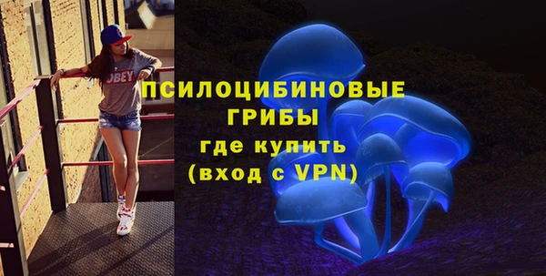 гидра Алексин
