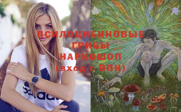 ГАЛЛЮЦИНОГЕННЫЕ ГРИБЫ Алзамай