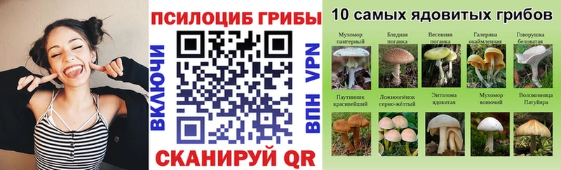 Галлюциногенные грибы MAGIC MUSHROOMS  блэк спрут ONION  Долинск 